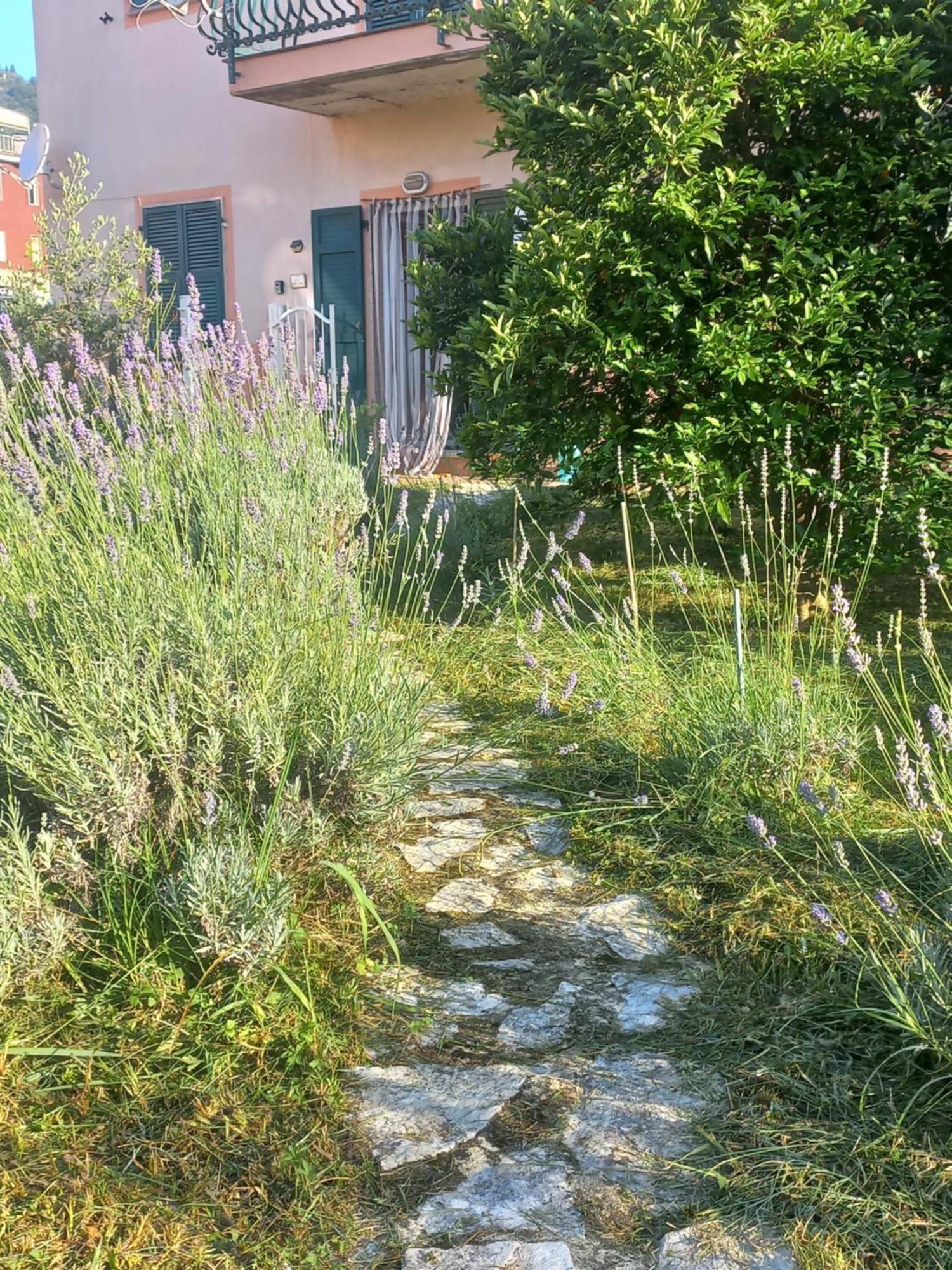 Villa La Casa Di Ulivi à Piano di Follo Extérieur photo